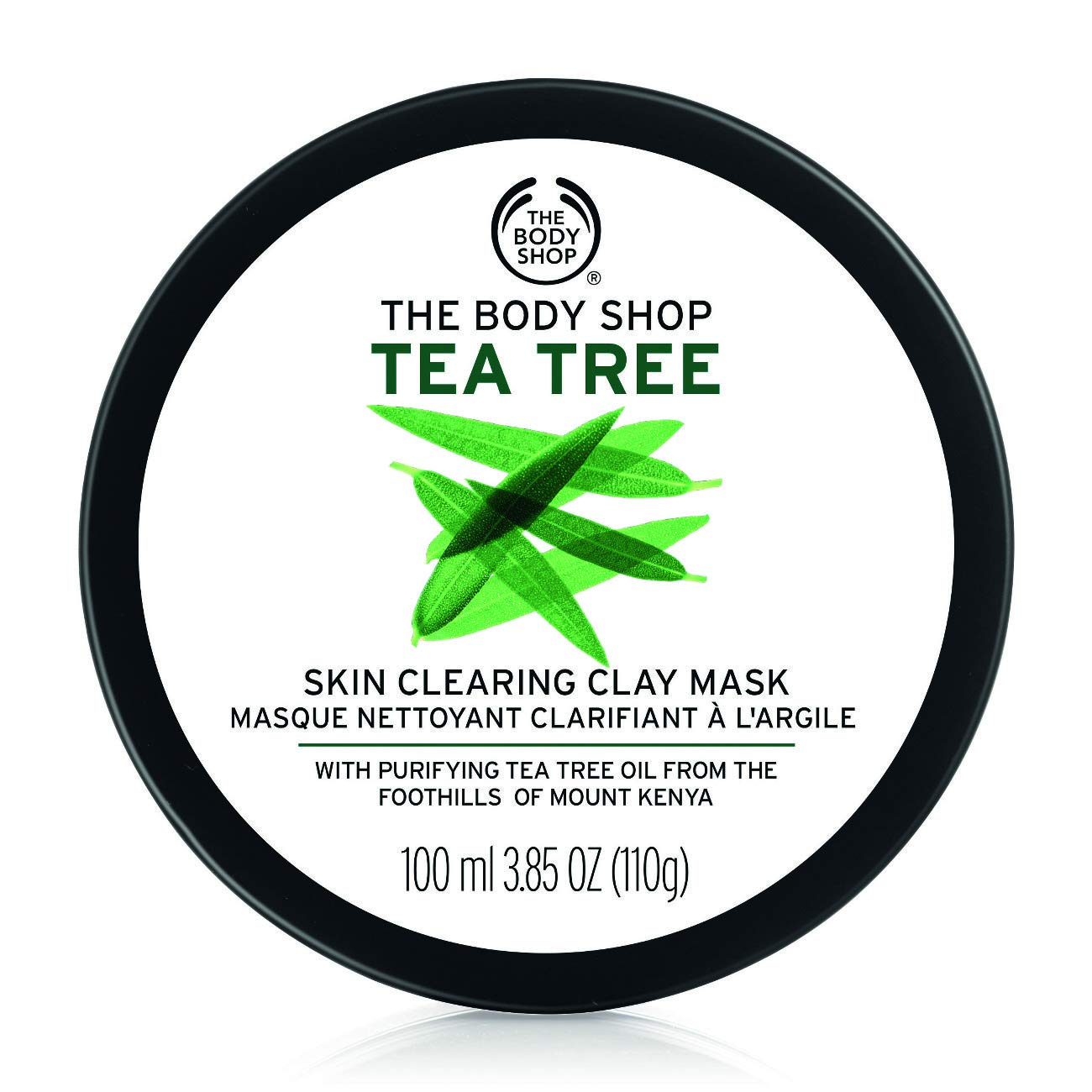10 Best Clay Masks in India 2023 (Indus Valley, The Body Shop, and more) 1