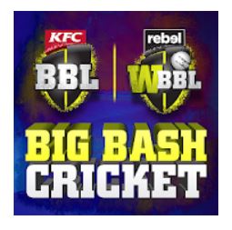 10 Best Mobile Cricket Games in India 2021 (Stick Cricket, Big Bash Cricket, and more) 2