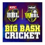 10 Best Mobile Cricket Games in India 2021 (Stick Cricket, Big Bash Cricket, and more) 2