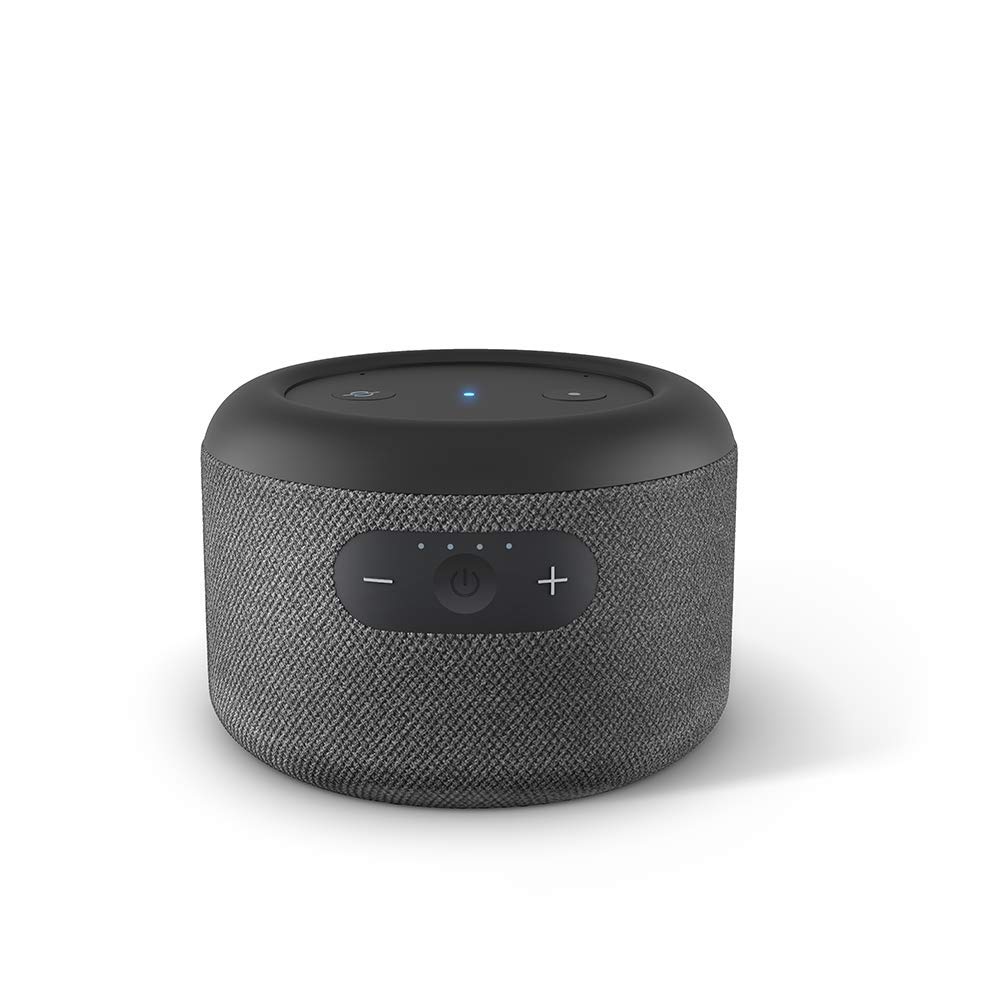 Echo Input 1