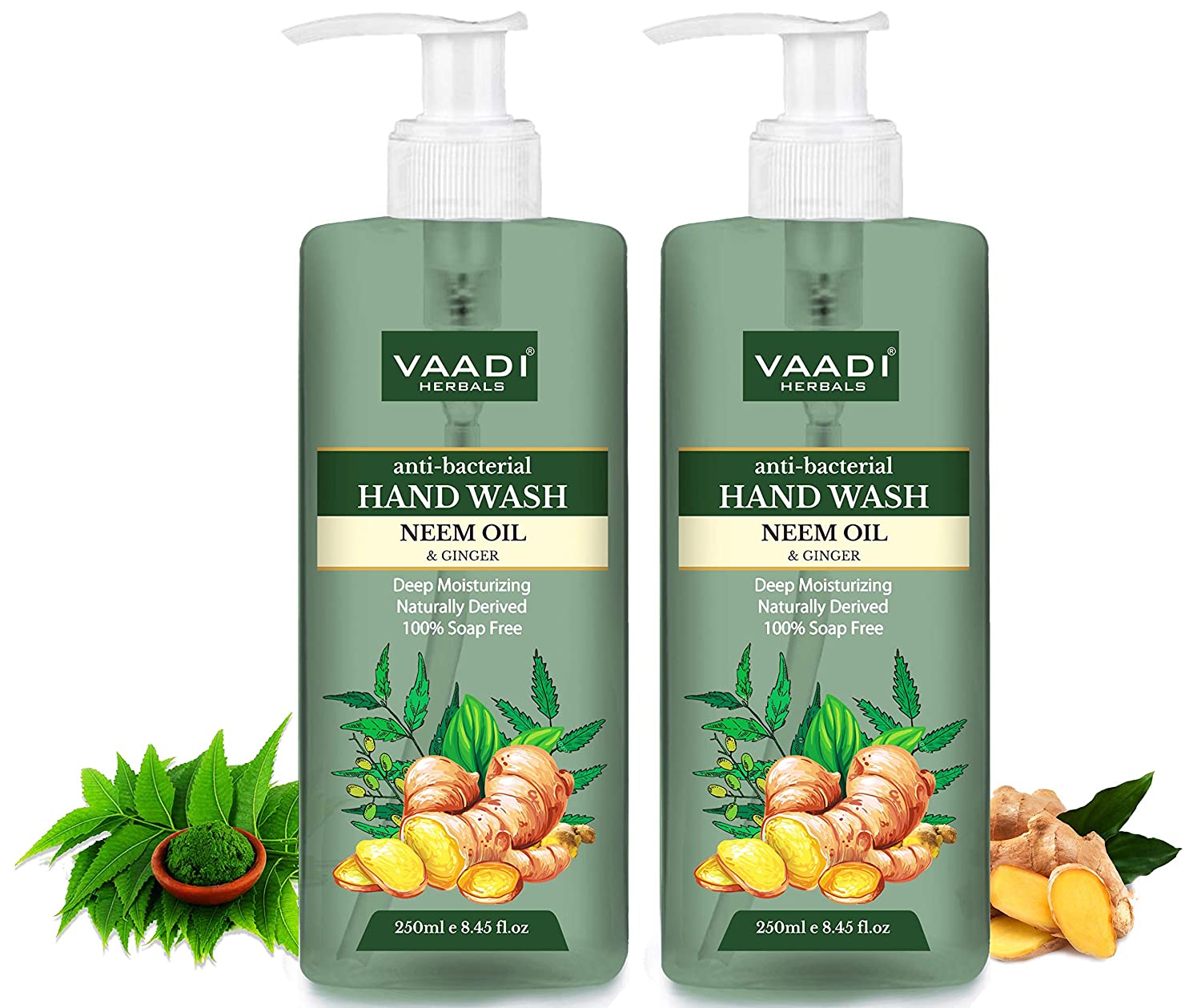 anti-bacterial HAND WASH (Pack of 2) 1