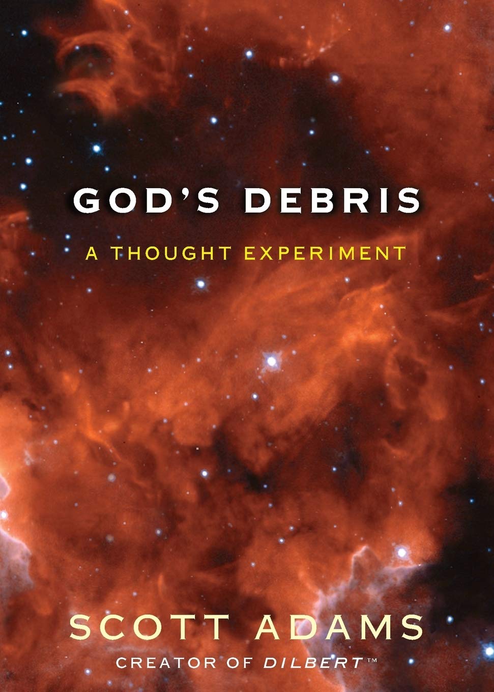 God's Debris: A Thought Experiment 1