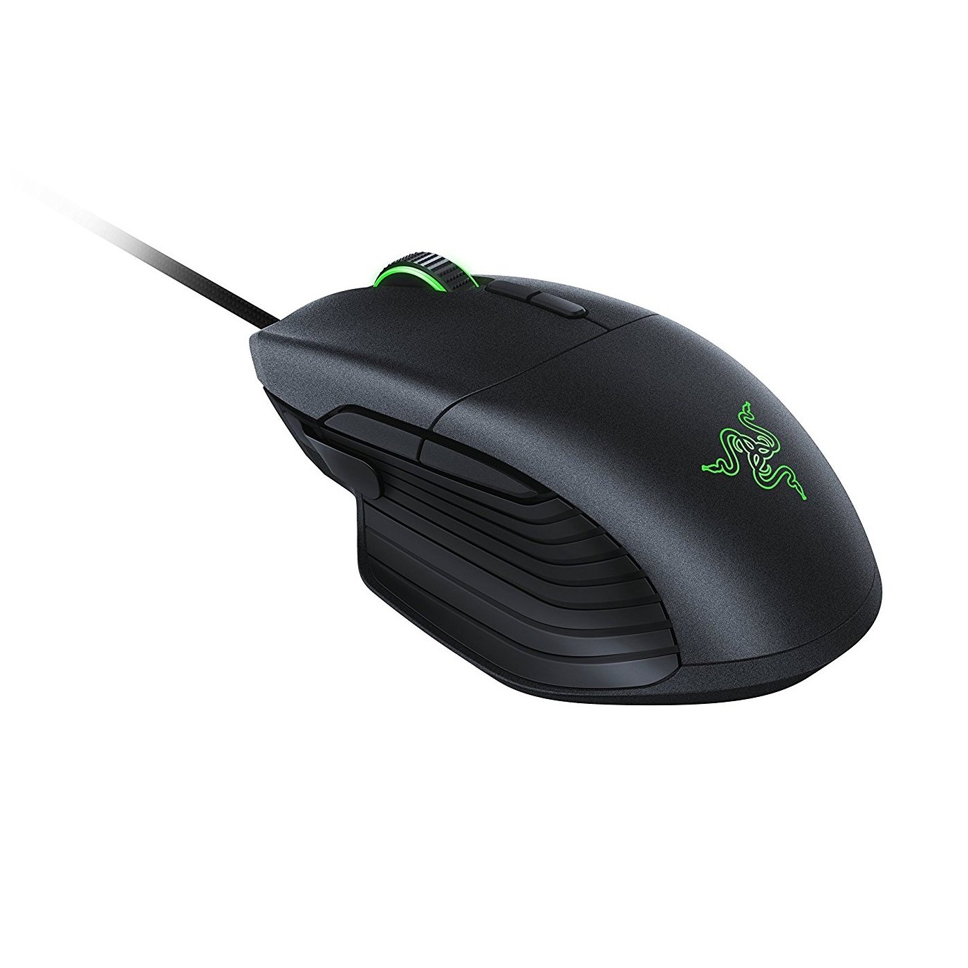 Basilisk 1