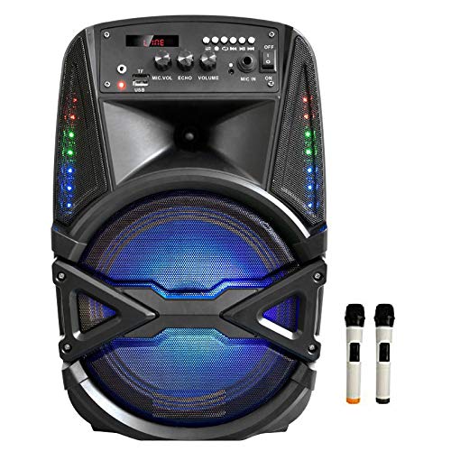 10 Best Karaoke Systems in India 2021 (Acoosta, Takara, and more) 5