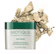 Biotique Bio Mud Youthful Firming 1