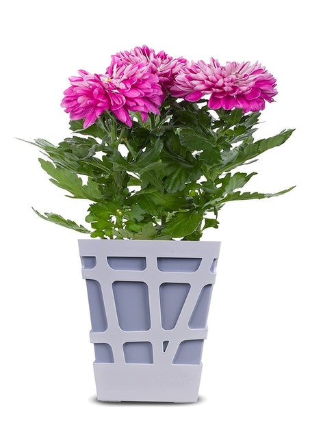 10 Best Pots for Plants in India 2021 (Ecofynd, Ugaoo, and more) 3