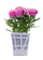 Sharpex POTS4NATURE Decorative Pots 1