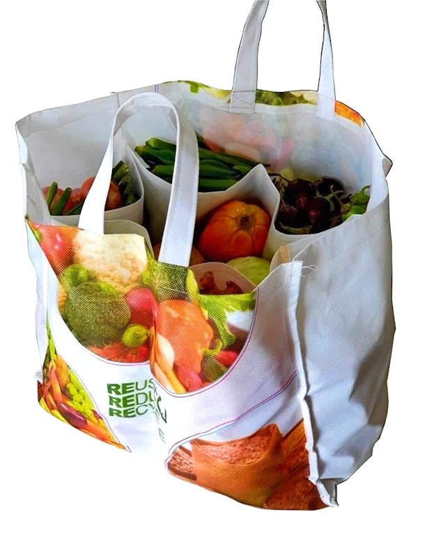 Organics Eco Reusable Bag 1