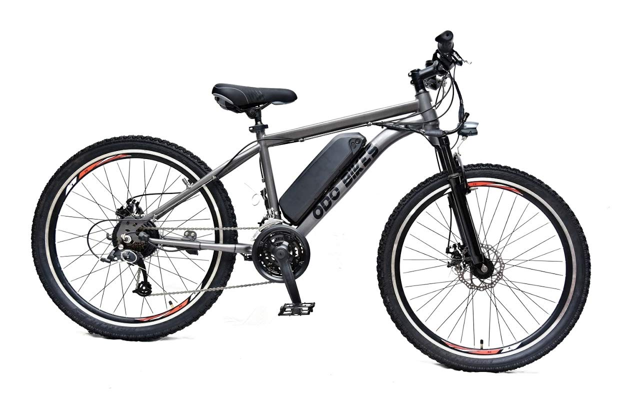 MS Frame Eagle MTB 1