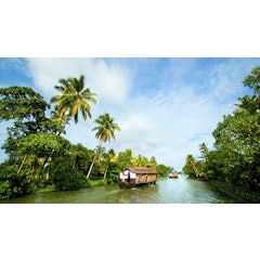 Kerala Tour Family Package