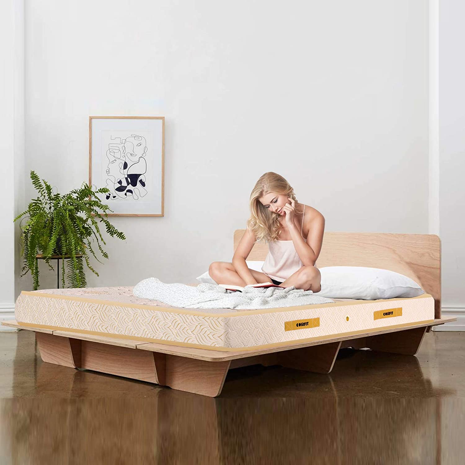 Ortho Luxury Pocket Mattress 1