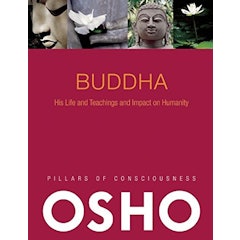 Buddha (Pillars of Consciousness)