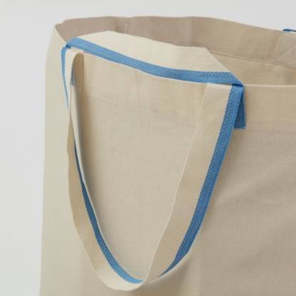 Grocery Bag 1