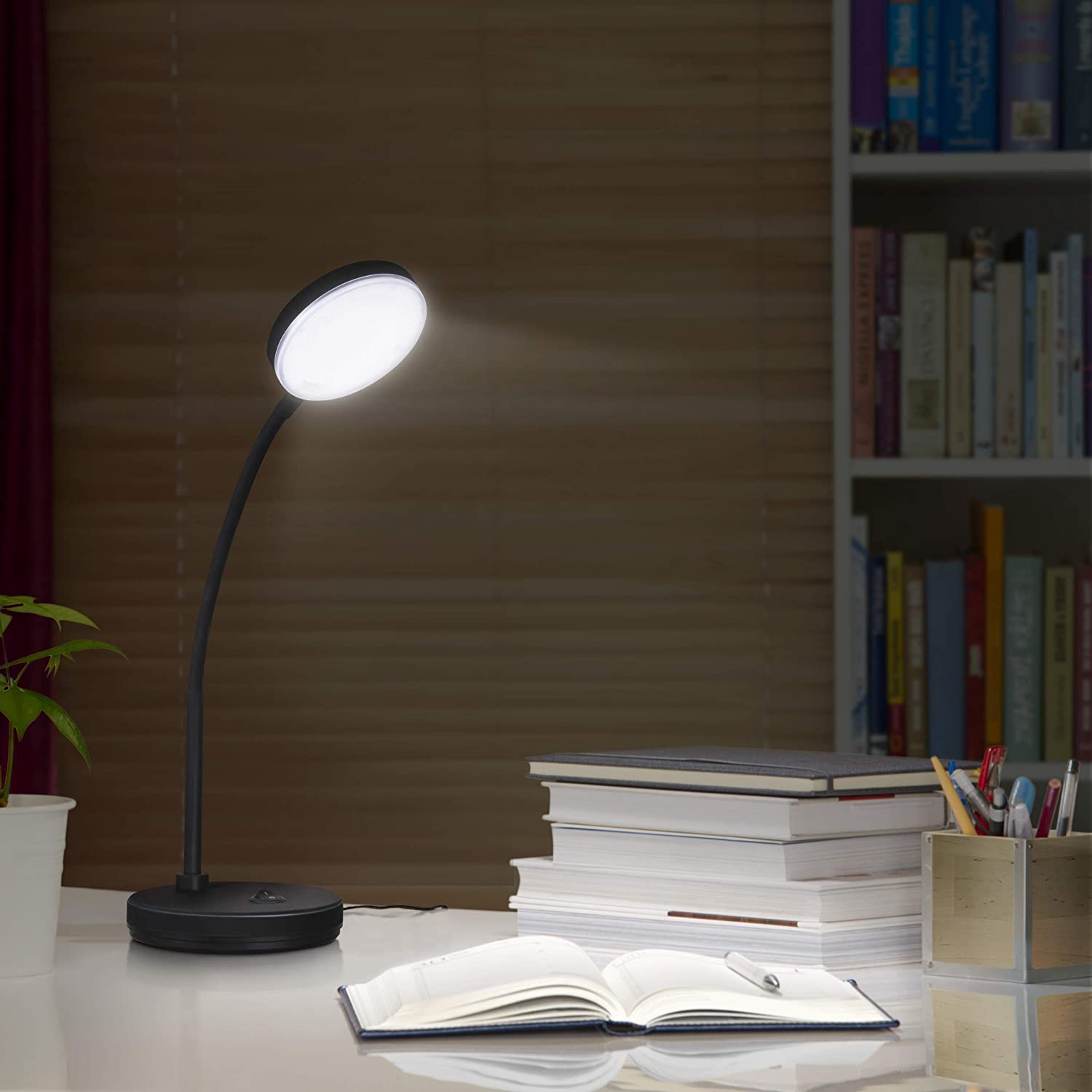 Vector Study Lamp  1