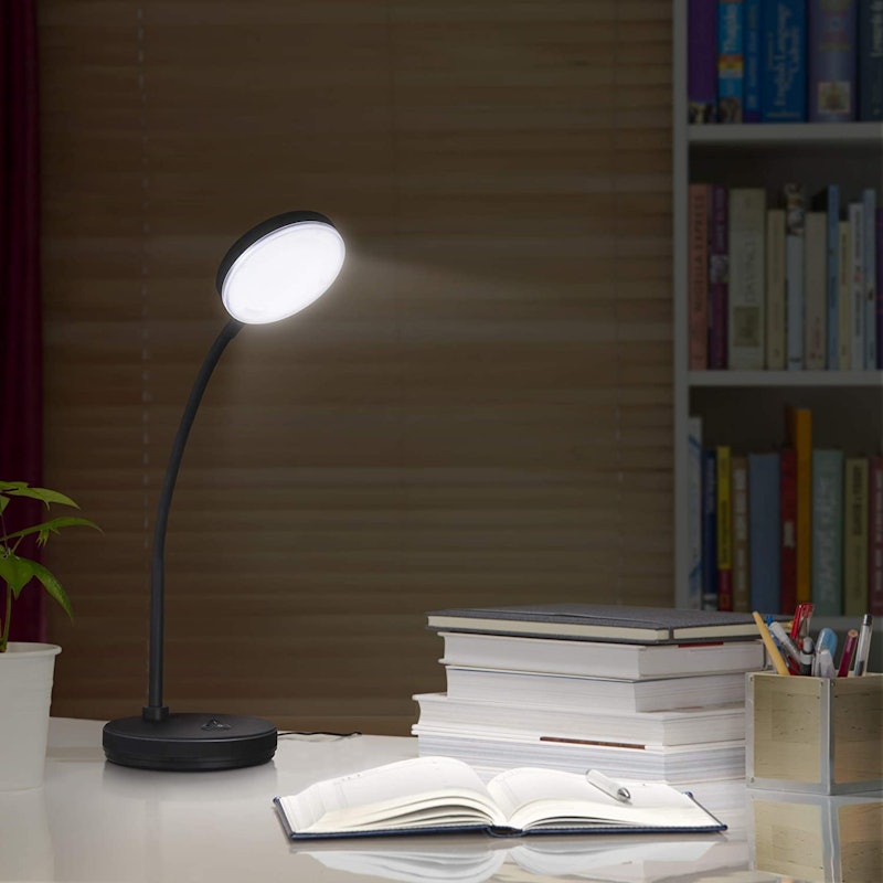 Vector Study Lamp 1