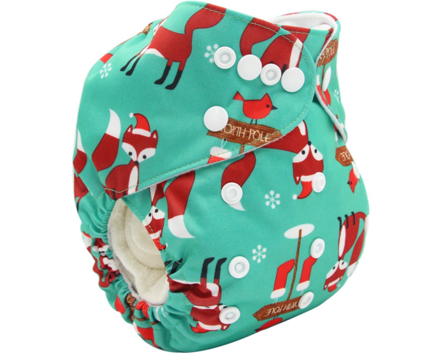 Cloth Diaper 1