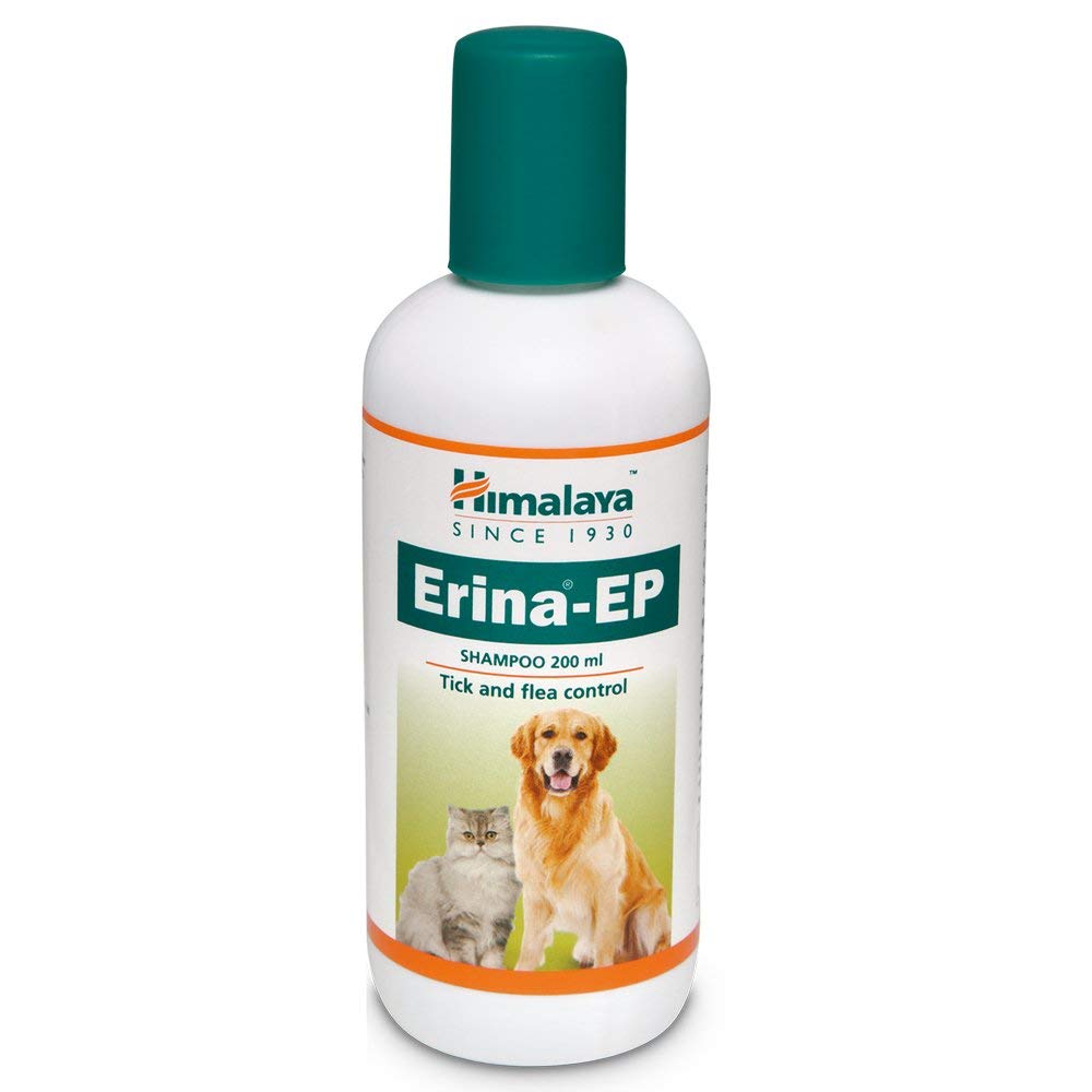10 Best Dog Shampoos in India 2023 (Himalaya, Wahl, and more) 1