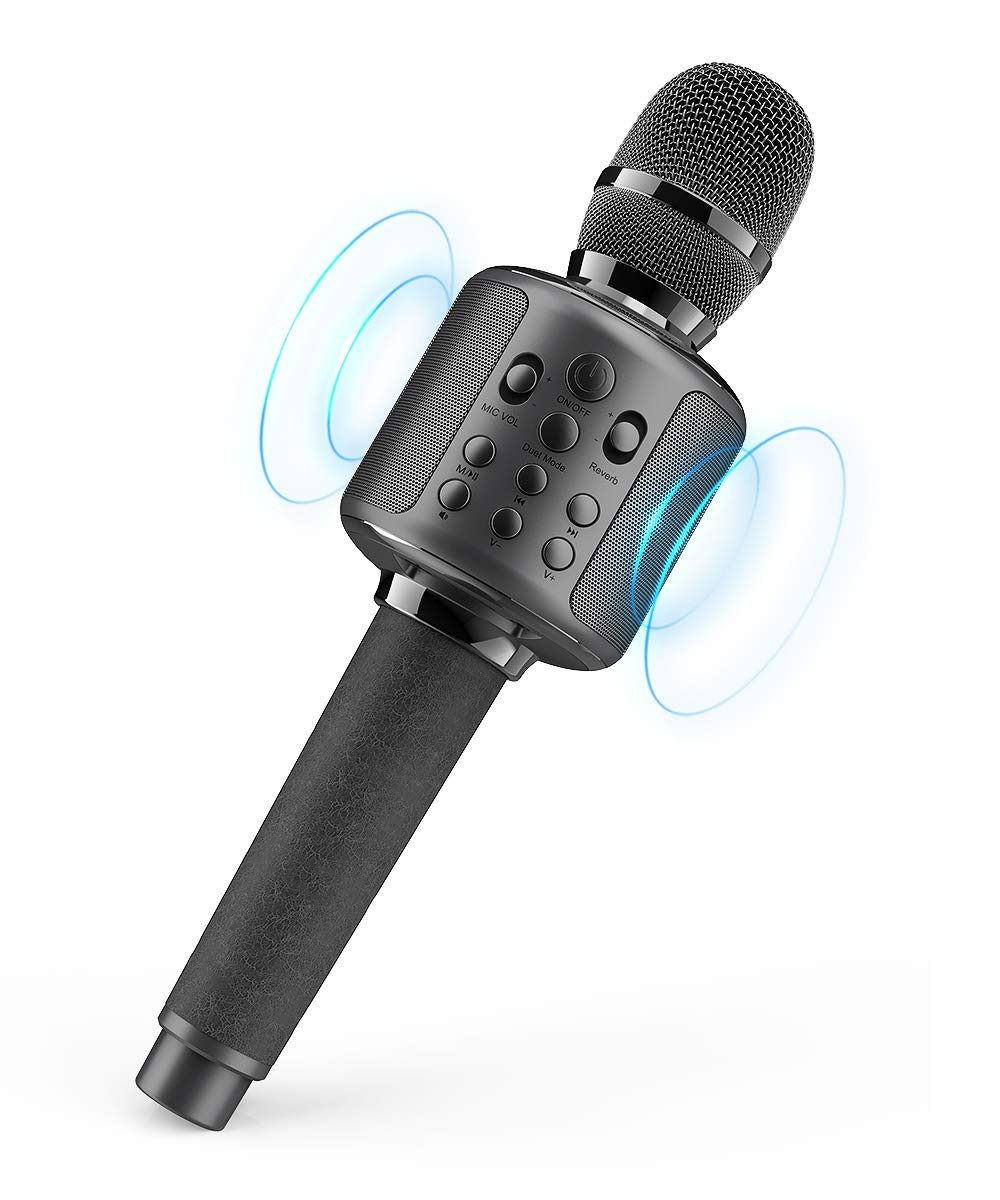 Karaoke Microphone 1