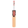 DSC Intense Force Kashmir Willow Bat 1