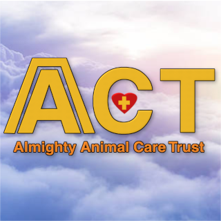 6 Best Animal Rescue Organizations to Donate to in India 2021 (Peepal Farm, Furever Friends, and more) 5