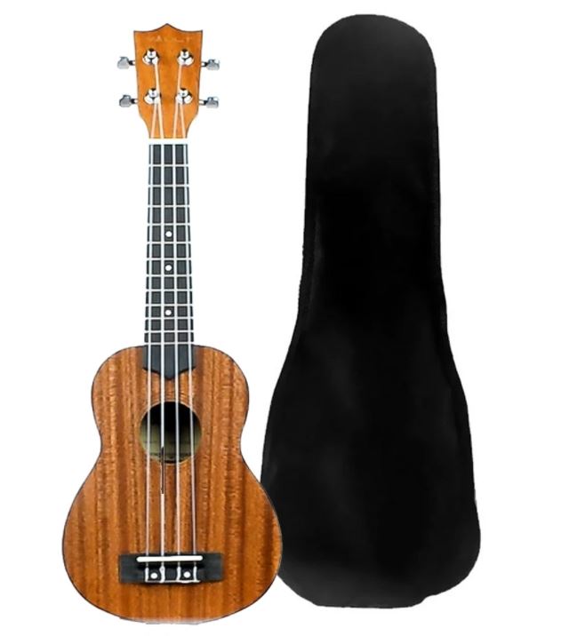 10 Best Ukulele Brands in India 2021 (Kadence, Vault, and more) 5