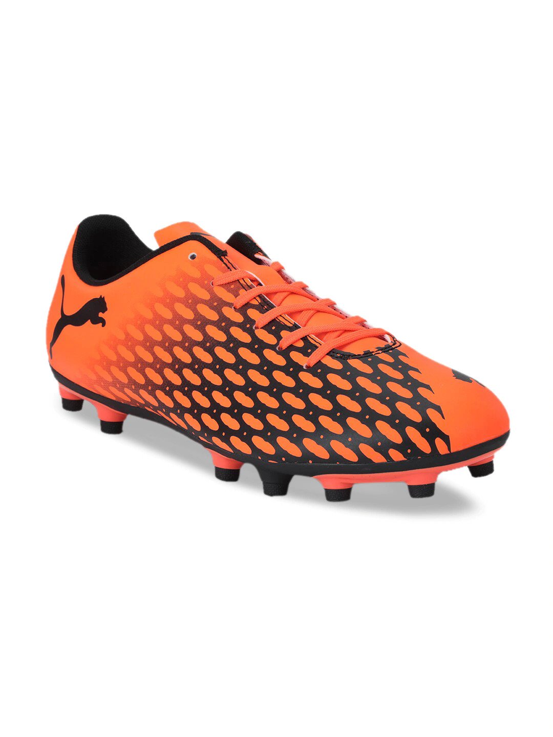 Spirit III FG  1