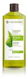 10 Best Shampoos for Oily Hair in India 2021 - Buying Guide Reviewed By Cosmetic Expert 5