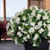 Nurserylive Begonia 1