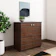 Bharat Lifestyle Pluto Choco Walnut Engineered Wood Shoe Rack 1