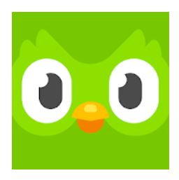 10 Best Free Language Learning Apps in India 2021 (Duolingo, Mondly, and more) 2
