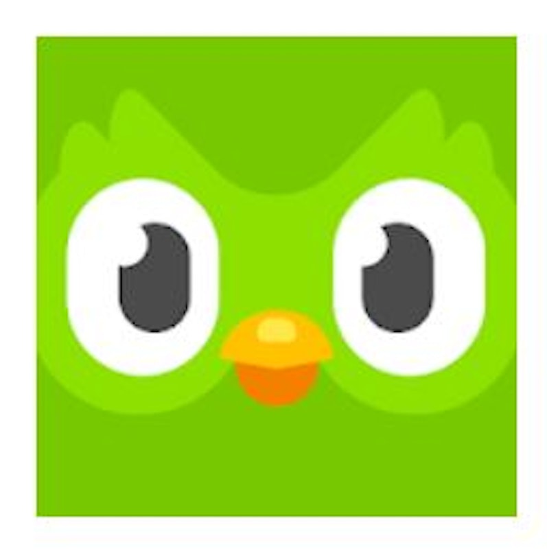 Duolingo: Learn English Free 1
